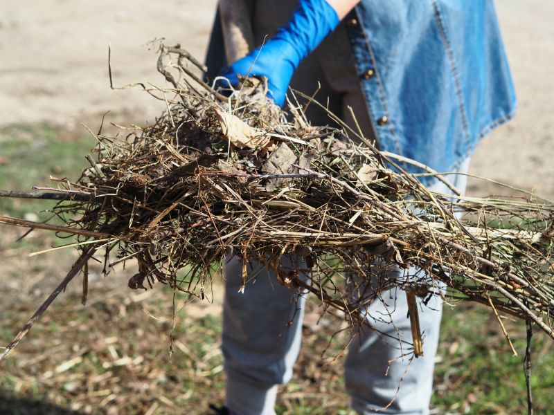 Brush Cleanup Service in Ventura County, CA