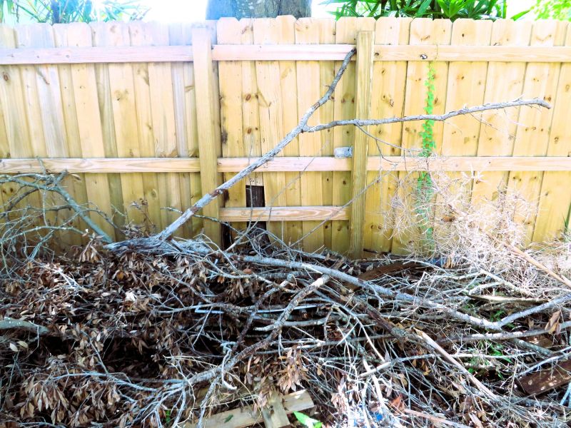 Tree Branch Disposal in Honolulu, HI